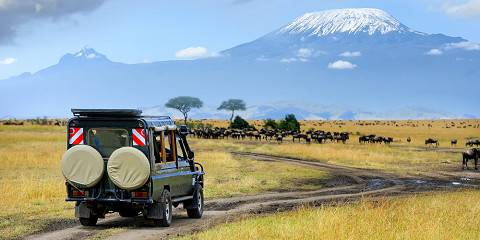Safari Vehicle Operations